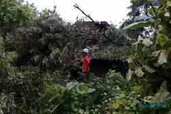 Hujan Disertai Angin, Rumah Warga Sukoharjo Rusak Tertimpa Pohon Tumbang