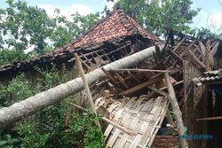 Brak! Pohon Kelapa Tumbang Menimpa Rumah Warga Grobogan