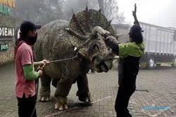 Cek! Ini Fakta di Balik Video Viral Dinosaurus Turun dari Truk & Ngamuk di Magetan