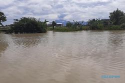 Dampak Hujan, 331 Ha Lahan Pertanian di Sukoharjo Terendam Banjir