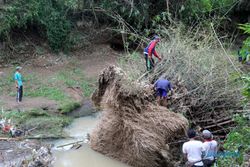 Butuh Puluhan Warga Untuk Singkirkan Barongan Bambu di Sungai Garuda Sragen