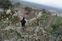 BPBD Boyolali: Hujan Abu Paling Tebal di Desa Mriyan Tamansari