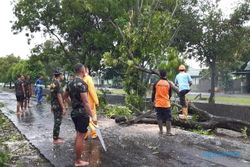 Angin Ribut Terjang 4 Kecamatan di Sragen, 1 Orang Meninggal