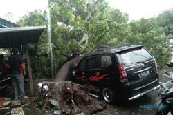 Selain Timpa Mobil, Pohon Tumbang Di Kabangan Solo Rusak Atap Rumah Warga