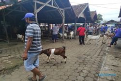 Biasanya Meluber ke Jalan, Pasar Hewan Baturetno Wonogiri Sepi di Hari Pasaran