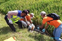 Pria Tua di Godong Ditemukan Tewas Dengan Muka Penuh Lumpur