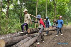 Warga Desa Tubokarto Wonogiri Minta Penebangan Pohon di Hutan Milik Perhutani Dihentikan
