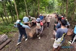 Warga Minta Penebangan Pohon di Tubokarto Wonogiri Dihentikan, Begini Tanggapan Perhutani