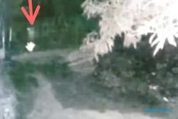 Heboh Pocong Dikejar Anjing, Videonya Terekam CCTV