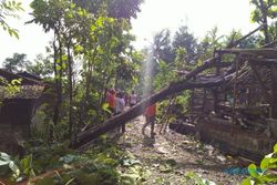 540 Rumah Terdampak Bencana Angin Kencang di Nguntoronadi Wonogiri, 1 Orang Meninggal Dunia Tertimpa Pohon