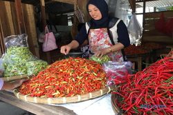 Harga Cabai Rawit Merah di Solo Tembus Rp120.000/Kg, Penjual Ayam Geprek Pusing