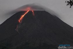 Gunung Merapi 3 Kali Gugurkan Lava Pijar Sejauh 1.400 Meter