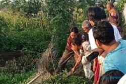 Ular Piton 3,5 M Ditangkap di Tugurejo Semarang