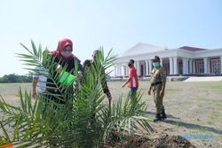Grha Megawati Klaten Dihiasi 48 Pohon Kurma, Keren Nih...