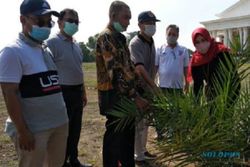 Ini Sebab 48 Pohon Kurma Ditanam di Kompleks Grha Megawati Klaten