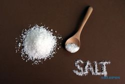 Garam Bisa Mengusir Ular, Mitos atau Fakta?