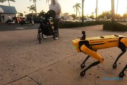 Anjing Robot Diajak Jalan Santai di Tepian Pantai Bikin Warga Penasaran