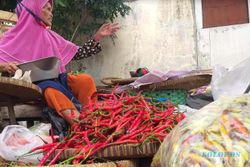 Harga Cabai Rawit di Klaten Menggila, Cabai Busuk Pun Laku di Pasaran