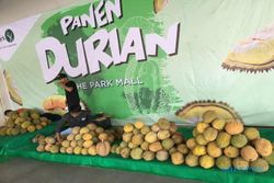 Para Pencinta Raja Buah Ayo Merapat, The Park Hadirkan Panen Durian