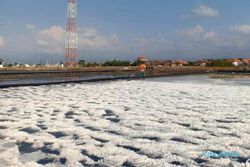 Ironi Indonesia, Negara Maritim yang Selalu Impor Garam