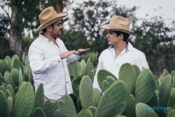 Kulit Pohon Kaktus Meksiko Mulai Gantikan Bahan Kain Kulit Binatang  