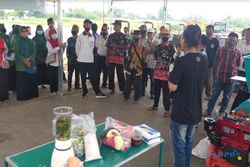 Petani dan Ibu-Ibu di Wonoboyo Klaten Cuma Butuh 1 Jam Olah Sampah Jadi Kompos