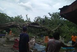 Angin Kencang, Pohon Asam Tumbang Timpa Puluhan Makam Di Joho Sukoharjo