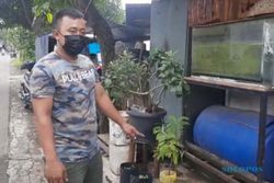 Ternyata! Pot Cabai yang Digondol Maling di Sukoharjo Milik Warung Langganan Jokowi