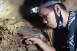Tulang Belulang Ditemukan di Gua Rembang, Diduga Peninggalan Suku Tertua di Jawa