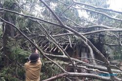 Angin Puting Beliung Terjang Tiga Kecamatan di Boyolali, Rumah Warga Rusak Tertimpa Pohon