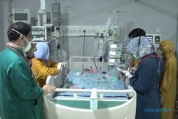 Libatkan 20 Dokter, RSUD dr Moewardi Solo Sukses Pisahkan Bayi Kembar Siam