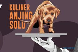Hari Rabies Sedunia: Solo Masih Jadi Surga Kuliner Anjing?