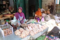 Harga Ayam di Sukoharjo Rp40.000/Kg Tetap Dicari Warga