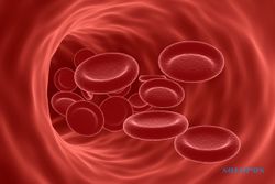 Hb Rendah Pertanda Kekurangan Hemoglobin, Ketahui Penyebabnya