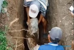 Viral,  Jenazah di Makam Bojonegoro Ditemukan Masih Utuh