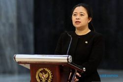Dukung Puan Capres, PDIP Kebumen Apa Juga Disebut Barisan Celeng?