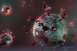Virus Corona Varian Delta Sudah Sentuh 85 Negara