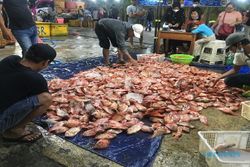 Pasar Ikan Balekambang Solo, Surga bagi Pencinta Iwak Harga Miring