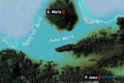 Ada Fosil Hewan Purba Laut di Grobogan Jadi Bukti Selat Muria Nyata