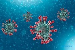 Indonesia Digolongkan Tahap Awal Gelombang Virus Corona Delta
