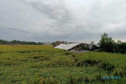 Angin Kencang Terjang 2 Kecamatan Di Sragen, Pabrik Batako Ambruk