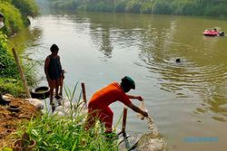 Komunitas di Sukoharjo Ini Tebar 15.000 Benih Ikan ke Sungai Bengawan Solo