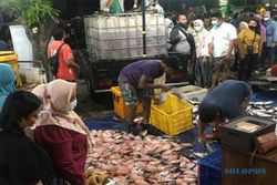 Pasar Ikan Balekambang Solo akan Bertransformasi Jadi Mini Sea World