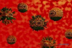 Awas! Virus Covid-19 Varian Delta Ditemukan Di Grobogan