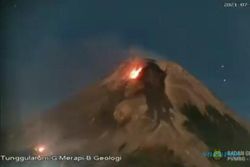 Ada Kebakaran di Lereng Gunung Merapi, Ini Penjelasan BPPTKG