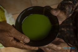 Tradisi Minum Jamu Batok Sudah Tradisi di Desa Wisata Ini