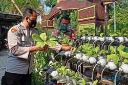 Patut Dicontoh, TNI dan Polri Ponorogo Bagikan Sayur Hidroponik Hasil Panen Sendiri Kepada Warga Isoman