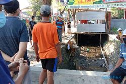 Berontak, Sapi Kurban Lepas Nyemplung Got di Jalan Solo-Tawangmangu Karanganyar