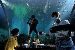 FOTO : Koral Restaurant, Restoran di Bali Bernuansa Akuarium Terbaik di Dunia
