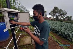 Potret Sukses Petani Muda, Kombinasi Ide dan Teknologi Jadi Kunci